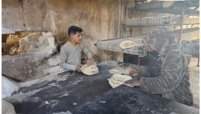 المؤسسة السورية للحبوب تعزز إمدادات الدقيق في الحسكة