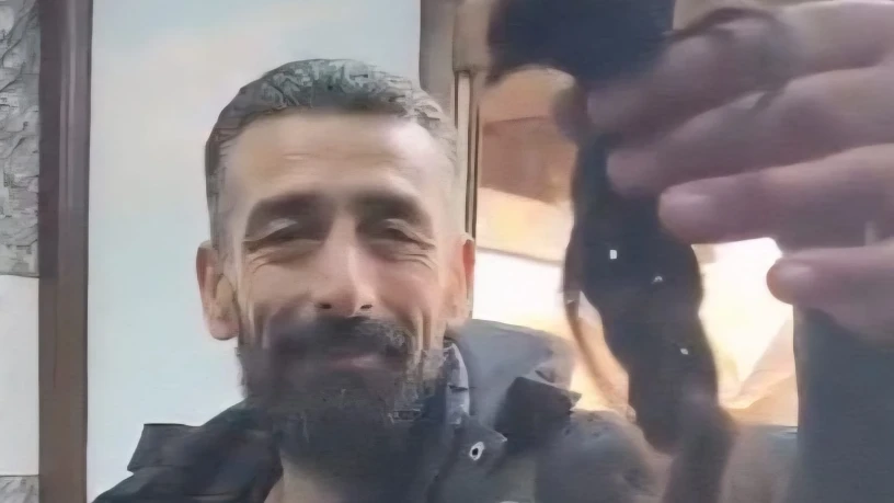 تحقيق ألما...