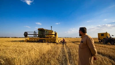 الجفاف يهدد الأمن الغذائي لملايين السوريين