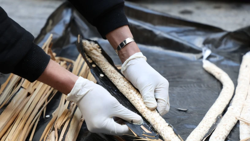 سوريا تحبط...