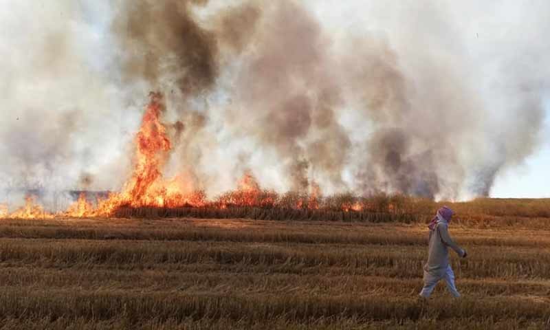 كيف يستغل قادة " ب ي د" تعويضات الحرائق للاحتيال على التحالف؟