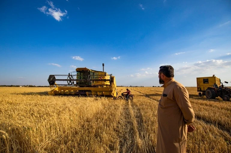 الجفاف يهدد الأمن الغذائي لملايين السوريين