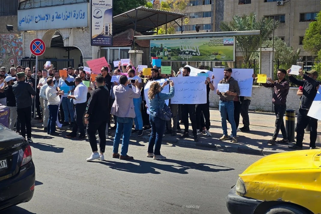 مطالبات بوقف استيراد الفروج لحماية الإنتاج المحلي السوري